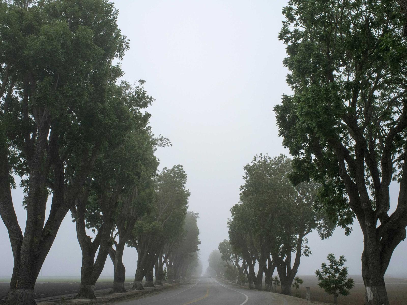 True Wireless Earbuds Elite