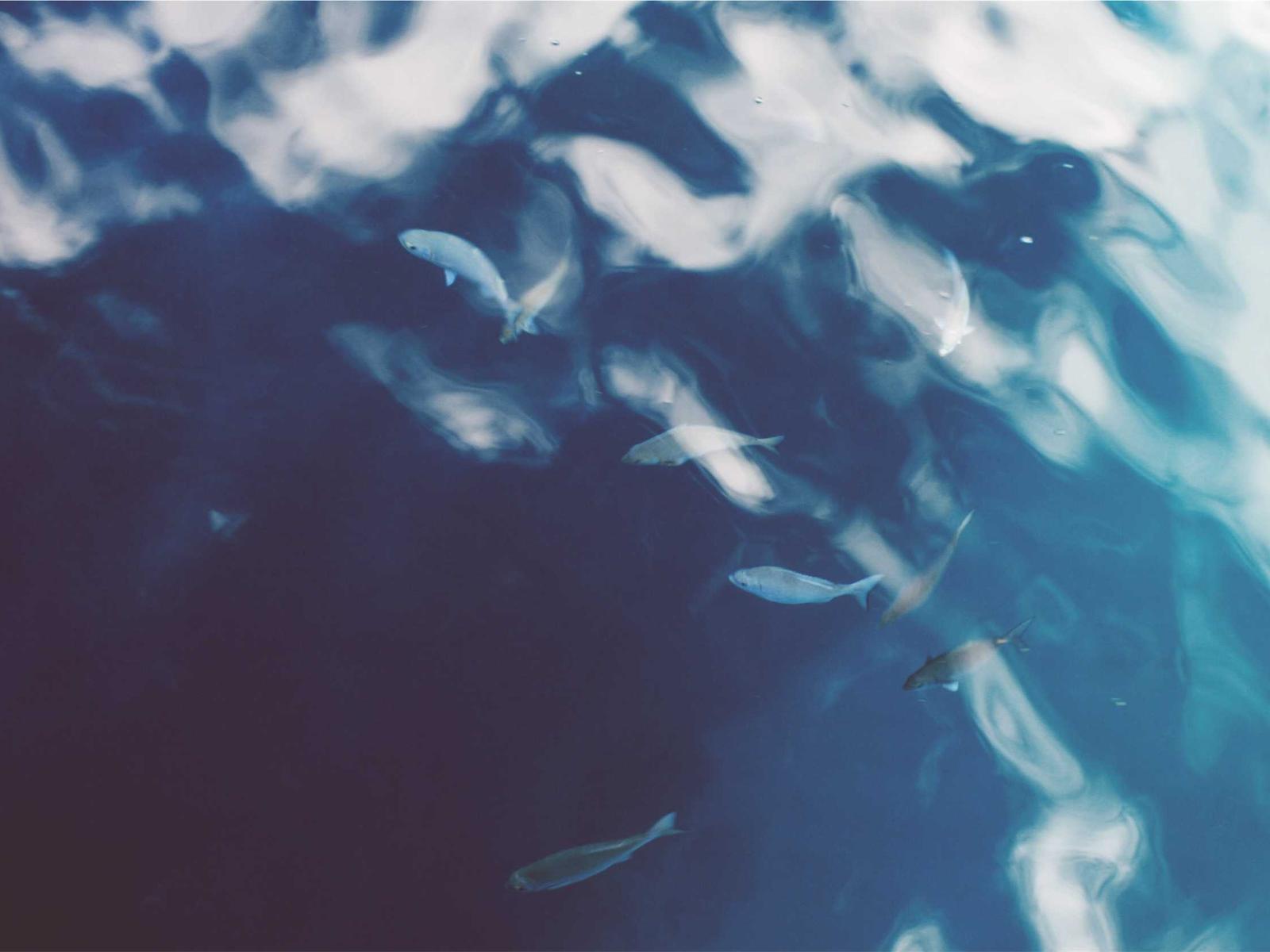 Vitamin C Glow Serum